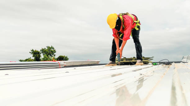 Best Roof Leak Repair  in Tres Arroyos, NM